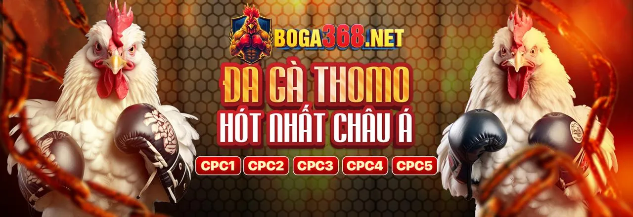 Banner quảng cáo ranvip ưu đãi và khuyến mãi độc quyền