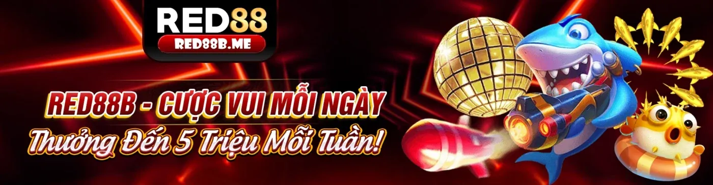 Hình ảnh các biện pháp bảo mật của ranvip